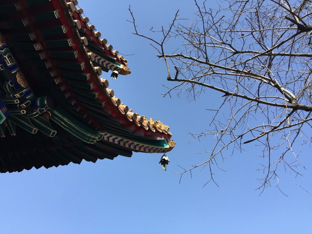 용인 사진